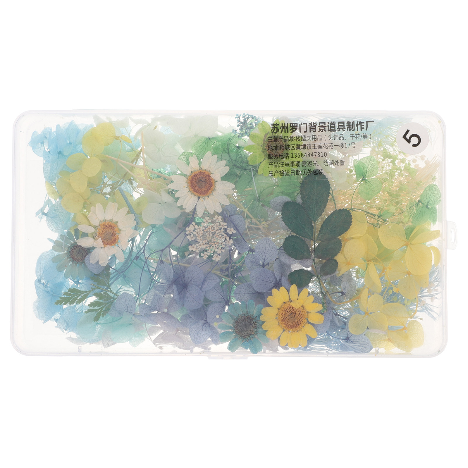 Resin Craft Kit - Kit di Fiori Secchi per Accessori