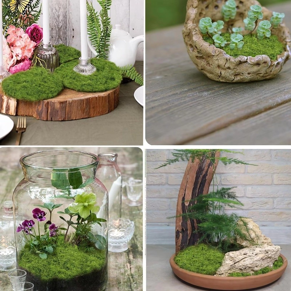 Tappeto in Erba Sintetica Fai- - Terrarium Moss Art recensione e prezzo
