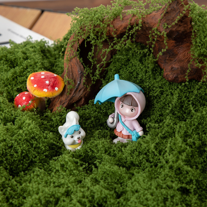 Muschio Eterno 200g per Artigi - Terrarium Moss Art recensione e prezzo
