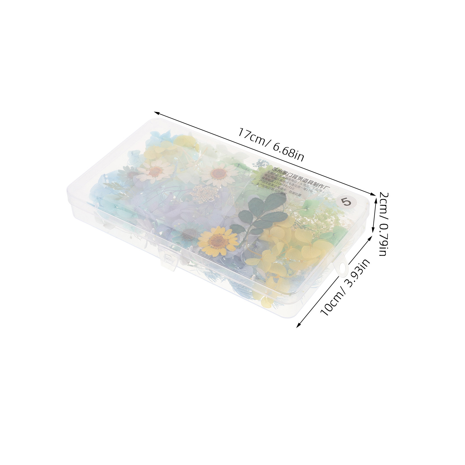 Kit di Fiori Secchi per Access - Resin Craft Kit recensione e prezzo
